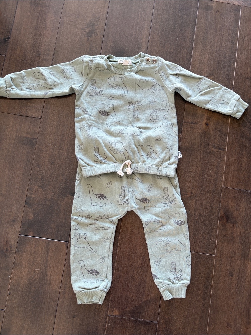 Toddler Dinosaur Print Cozy Pajama Set in Sage Green